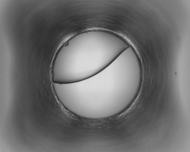 X0000116841145200912181109