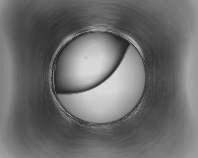 X0000116841146200912181109