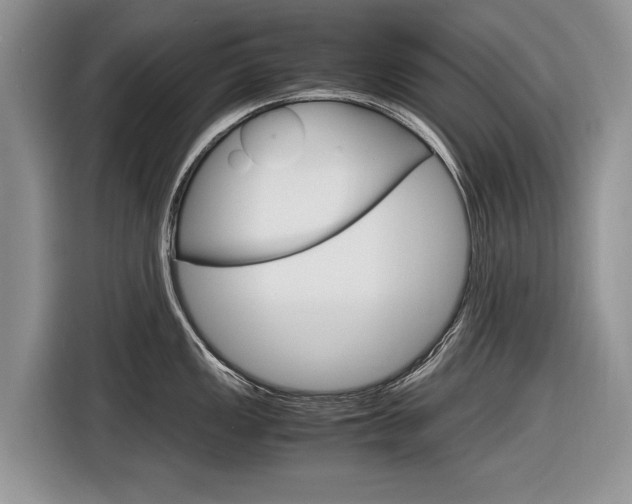 X0000116841149200912181109