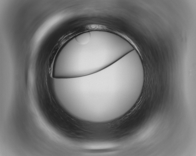 X0000116841151200912181109