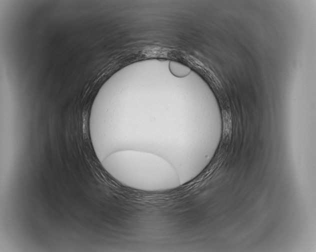X0000116841154200912181109
