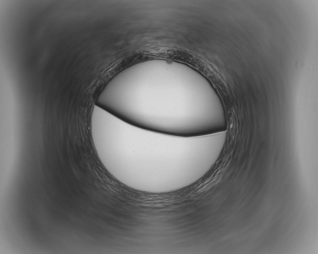 X0000116841156200912181109