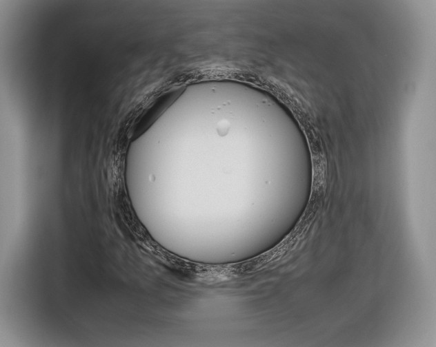 X0000116841157200912181108
