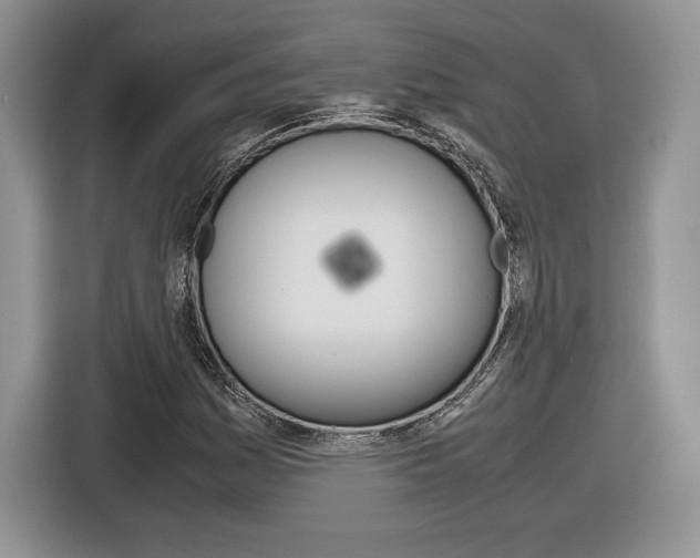 X0000116841161200912181108