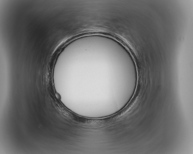 X0000116841163200912181108