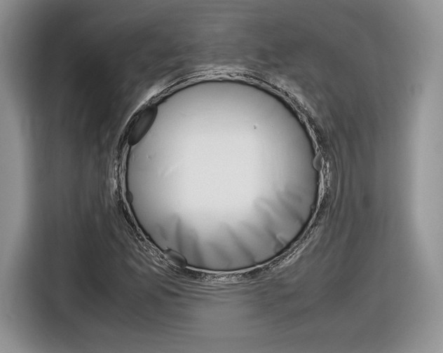 X0000116841165200912181108