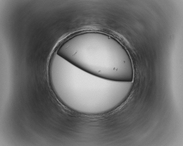 X0000116841168200912181108