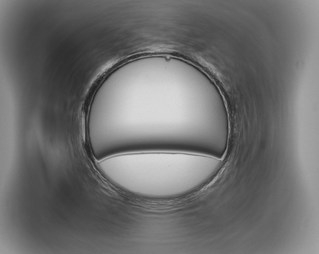 X0000116841171200912181108