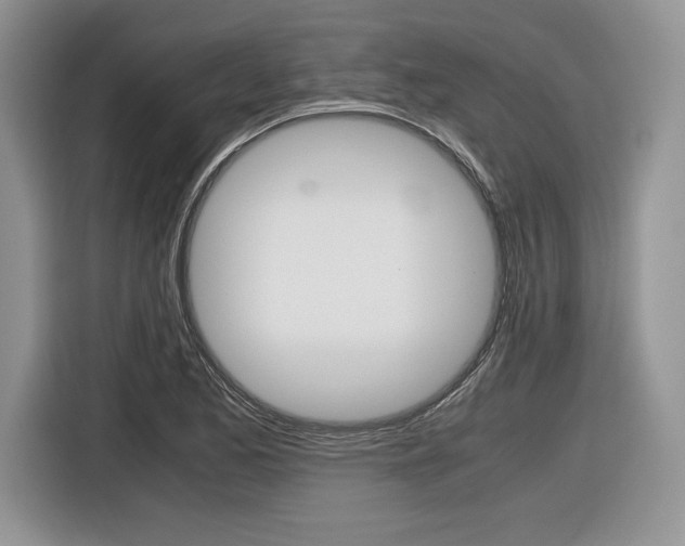 X0000116841173200912181108
