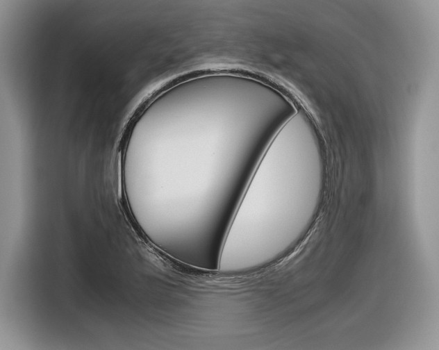 X0000116841175200912181108