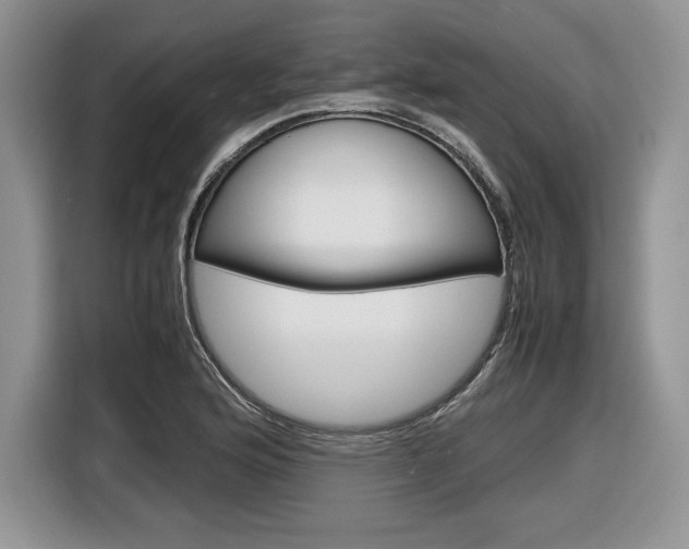 X0000116841176200912181108