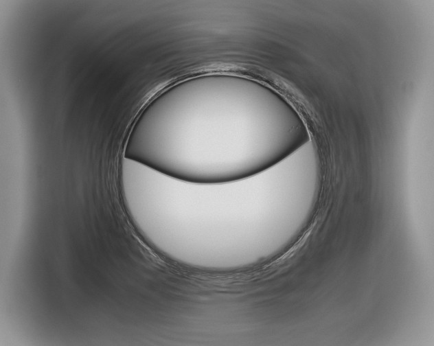 X0000116841177200912181108