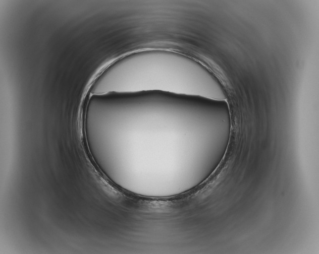X0000116841180200912181108