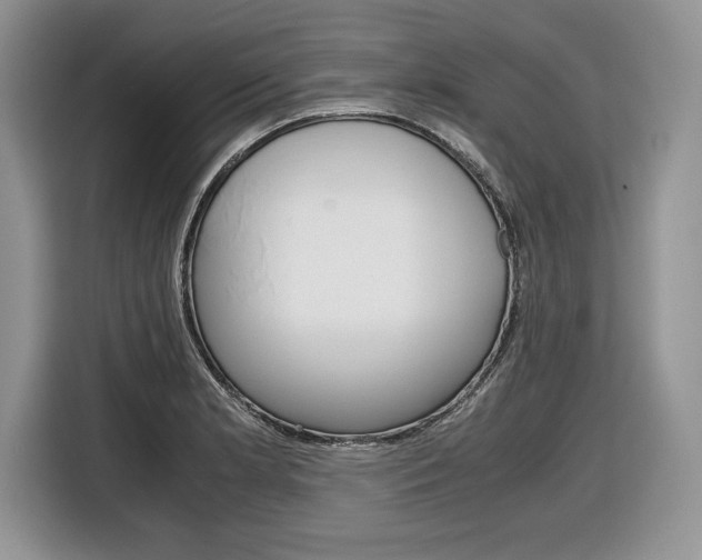 X0000116841181200912181108