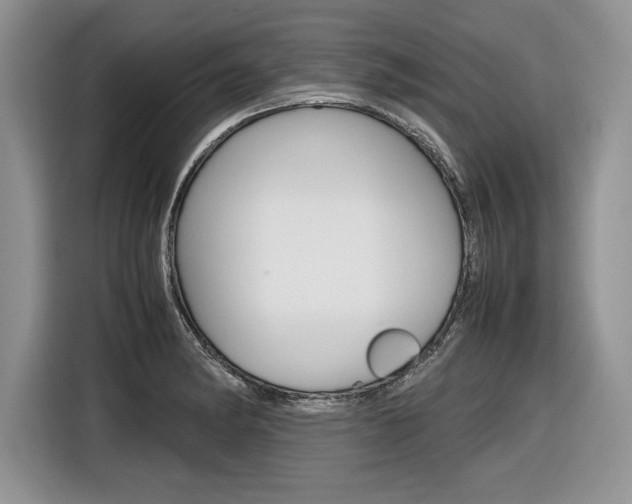 X0000116841182200912181108