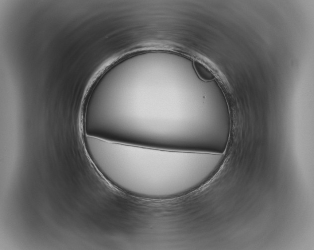 X0000116841188200912181108