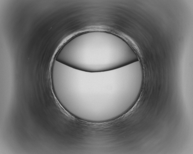 X0000116841192200912181108