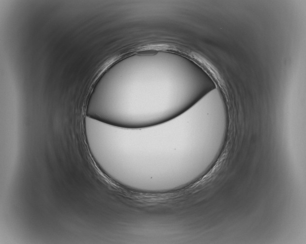 X0000116841193200912181108