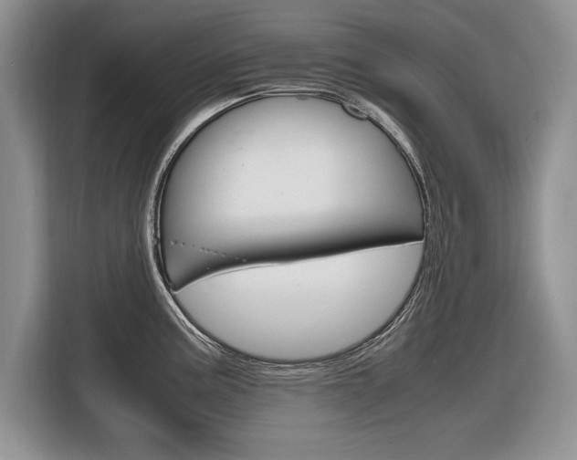 X0000116841195200912181108