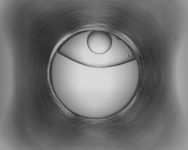 X0000116841196200912181108