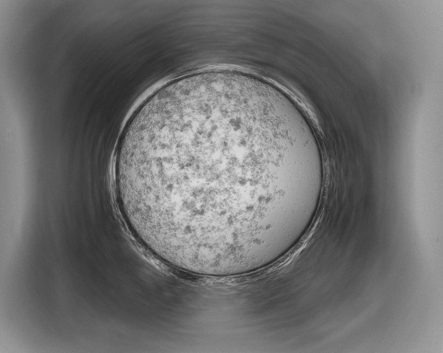 X0000116841198200912181108
