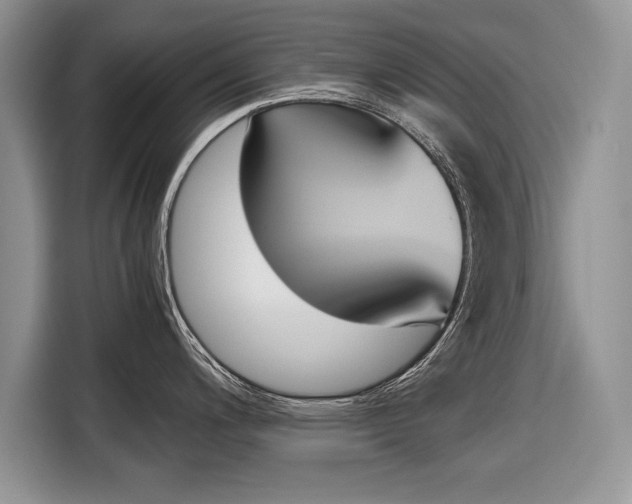 X0000116841200200912181108
