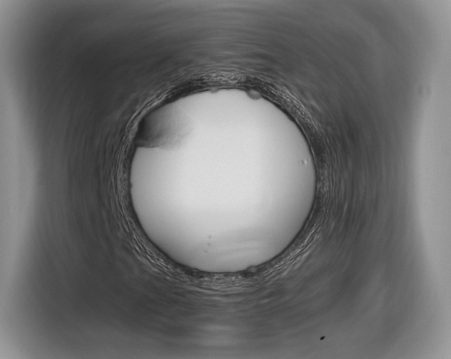 X0000116841201200912181107