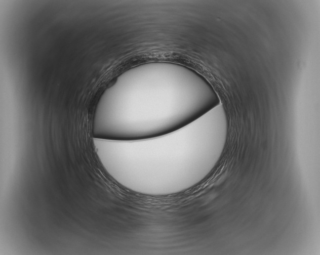 X0000116841202200912181107