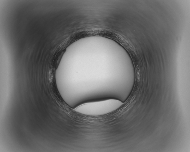 X0000116841204200912181107