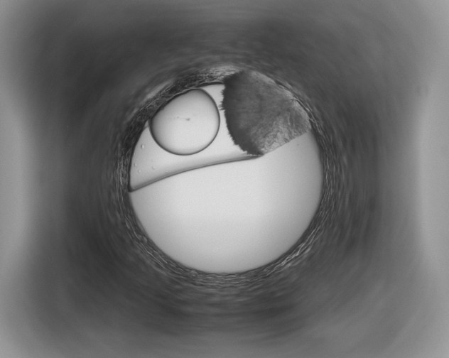X0000116841205200912181107