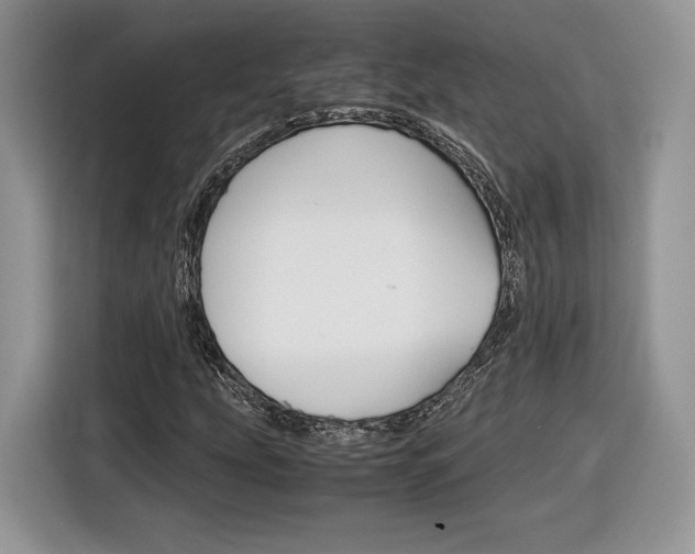 X0000116841207200912181107