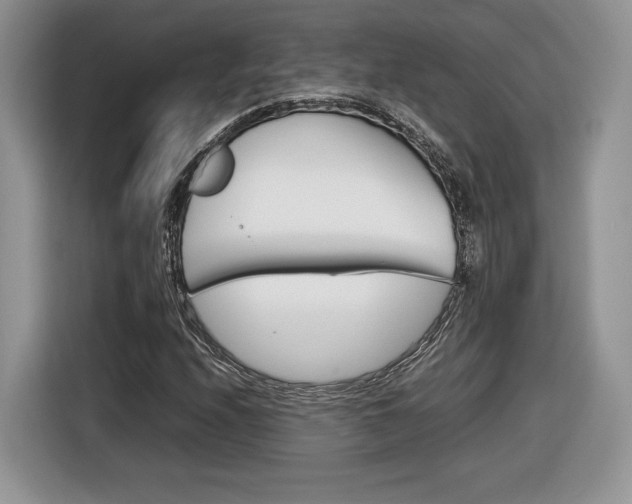 X0000116841208200912181107