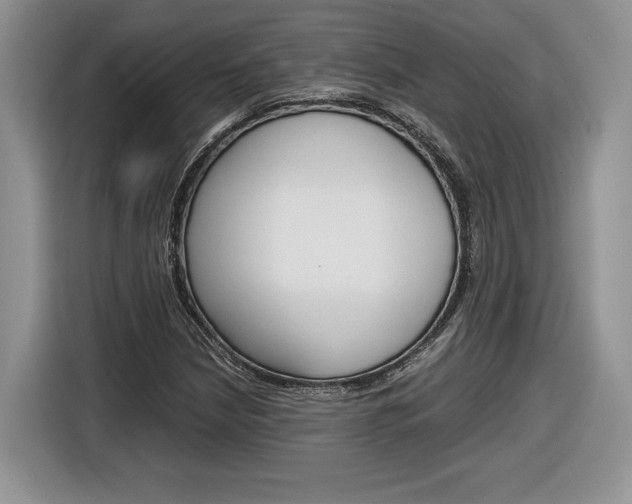 X0000116841210200912181107