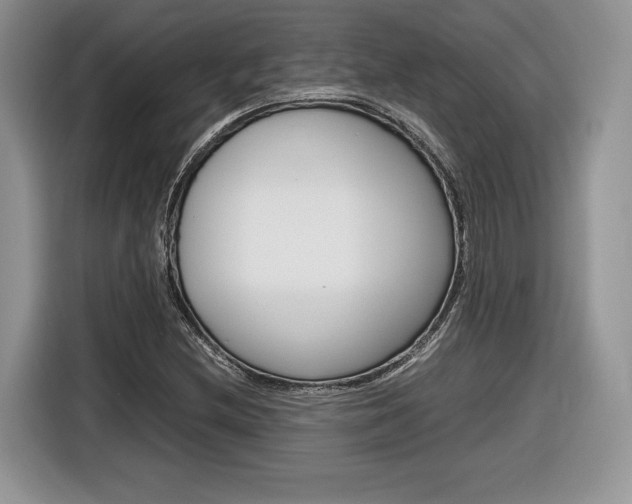 X0000116841212200912181107