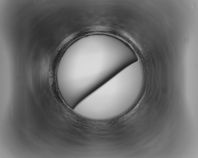 X0000116841213200912181107