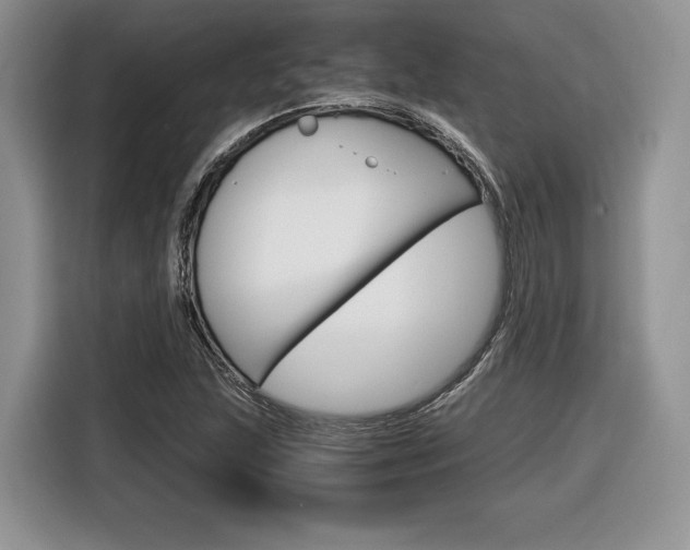 X0000116841215200912181107