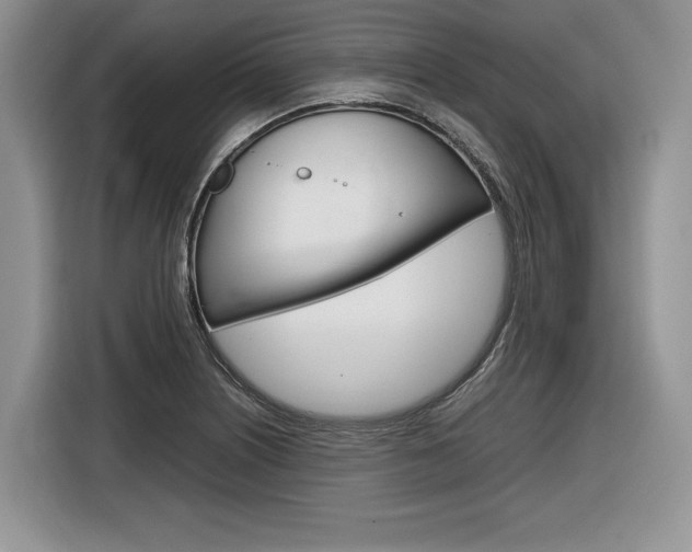 X0000116841226200912181108