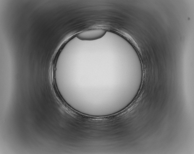X0000116841227200912181108