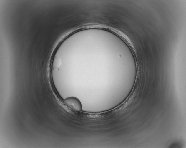 X0000116841231200912181108