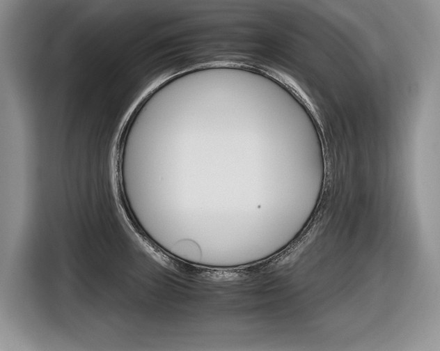 X0000116841235200912181108