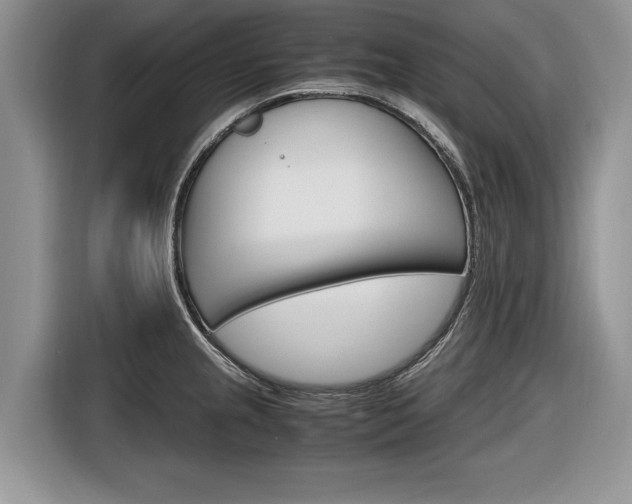 X0000116841237200912181108
