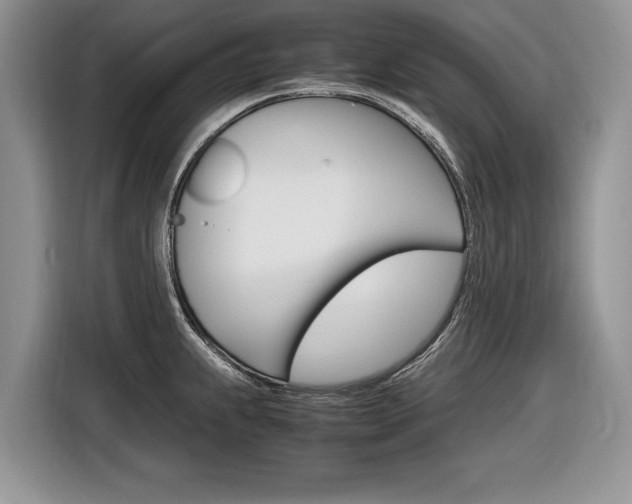 X0000116841239200912181108