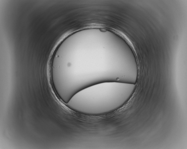 X0000116841243200912181108