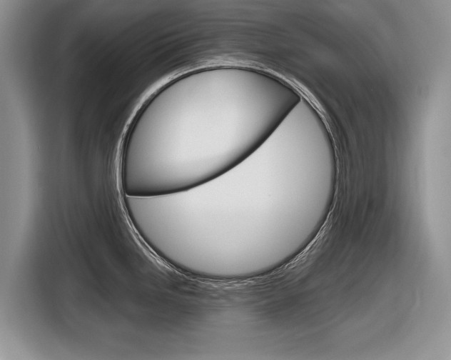X0000116841246200912181108