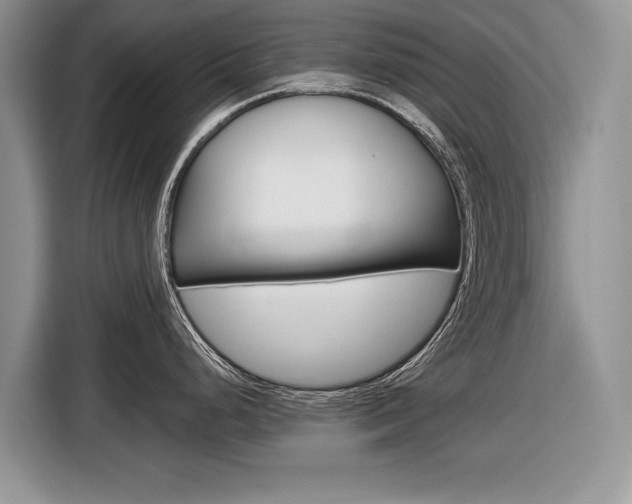 X0000116841248200912181108