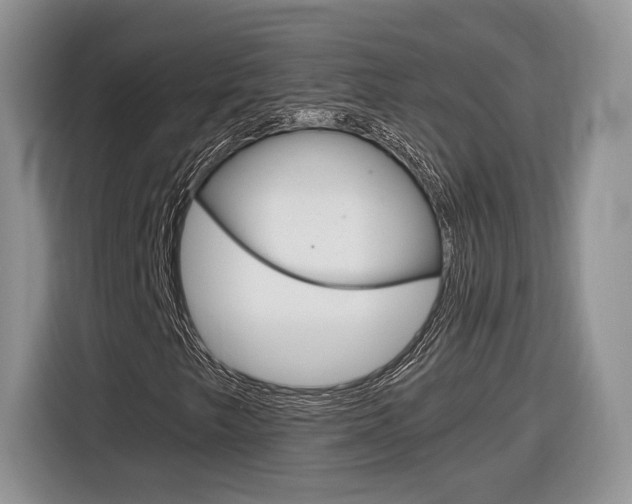 X0000116841249200912181107