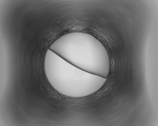 X0000116841250200912181107