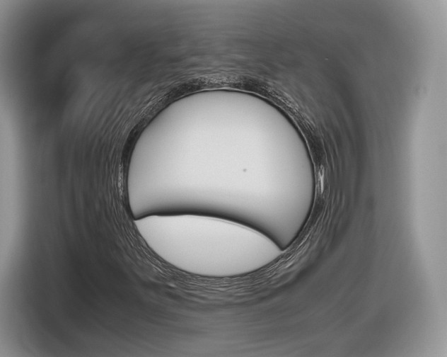 X0000116841251200912181107