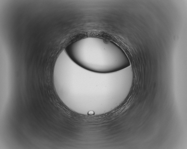 X0000116841252200912181107