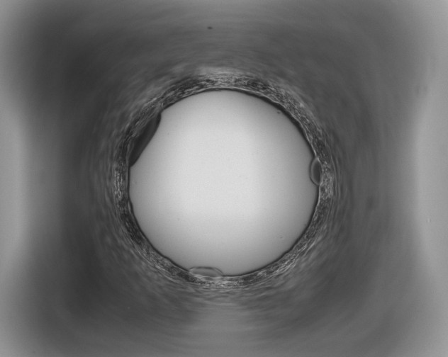 X0000116841253200912181107